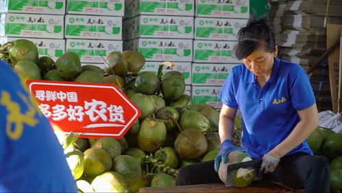 消博會(huì)盛裝揭幕 拼多多攜手央視新聞，引領(lǐng)網(wǎng)民共赴農(nóng)產(chǎn)品云端盛宴