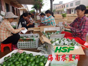 東昌農(nóng)產(chǎn)品收購(gòu)市場(chǎng)聚財(cái)氣，助力農(nóng)副產(chǎn)品銷售興旺