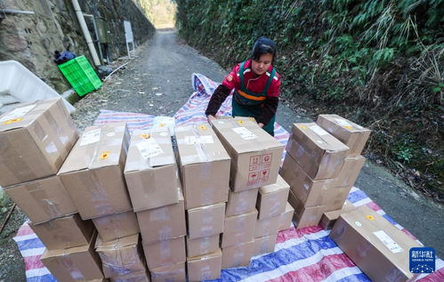 浙江淳安 傳統農產品走俏年貨市場，山珍好味帶動農副產品銷售熱潮