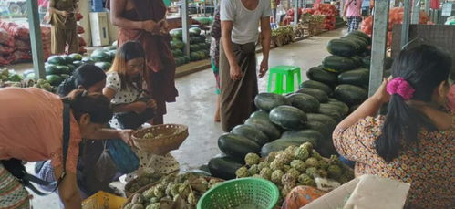 緬甸糧食安全拉響警報 基礎食品價格飆升，初級農產品收購體系面臨挑戰