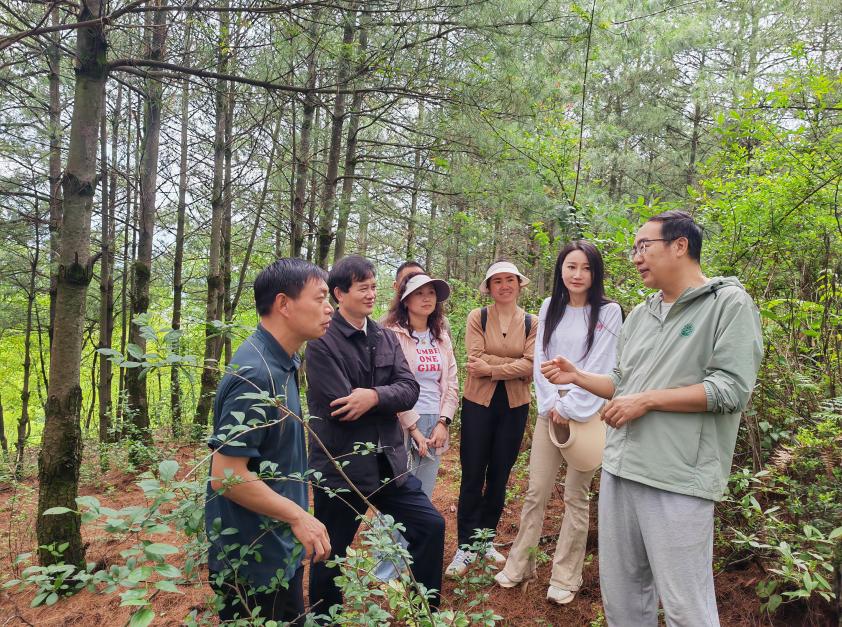 昆明市2025年科技服務(wù)深化集體林權(quán)制度改革推廣項(xiàng)目落戶嵩明，助力農(nóng)副產(chǎn)品銷售新突破
