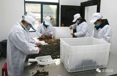 【創(chuàng)業(yè)故事】柯愈鑫:買秦巴 賣全國 俏世界