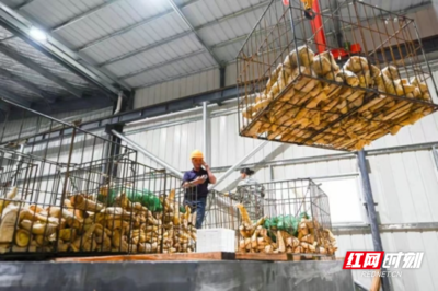北湖供銷社賦能農(nóng)業(yè) 暢通初級農(nóng)產(chǎn)品收購，助力農(nóng)貨“出村進(jìn)城”