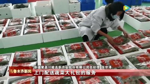 日供有機果蔬3噸，新疆植物工廠豐富市民菜籃子——順富醫(yī)藥引領(lǐng)智慧農(nóng)業(yè)新風(fēng)尚